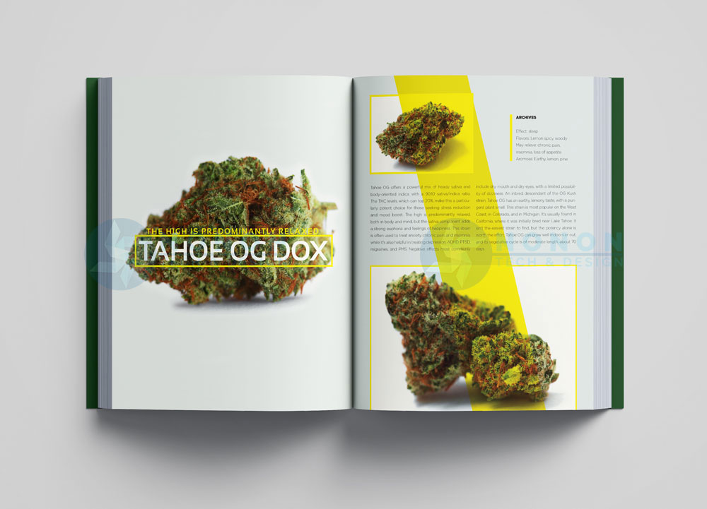 marijuana-book--(1)