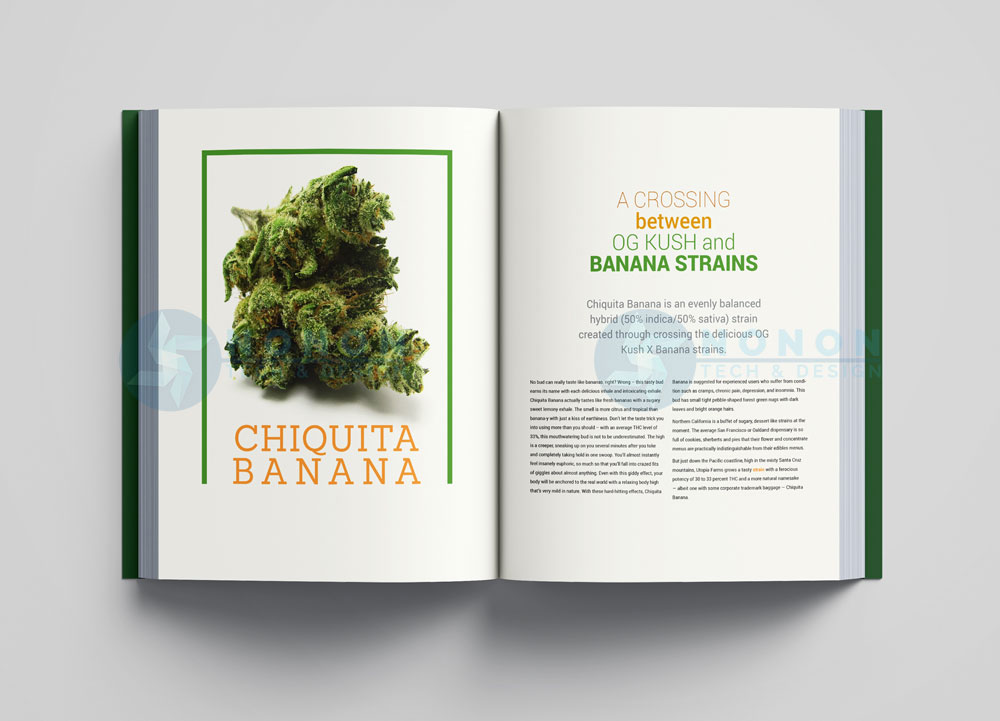 marijuana-book--(5)
